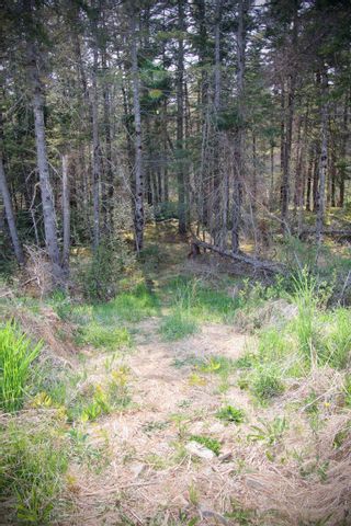 Photo 18: 151 Parker Mountain Road in Granville Ferry: Annapolis County Vacant Land for sale (Annapolis Valley)  : MLS®# 202309396