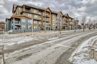 Photo 42: 2104 450 KINCORA GLEN Road NW in Calgary: Kincora Apartment for sale : MLS®# A2020793
