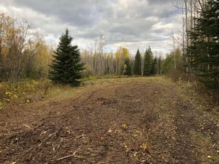 Photo 3: 953 FOREMAN Road in Prince George: Shelley Land for sale (PG Rural East)  : MLS®# R2682687
