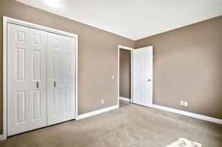 Photo 14: 3304 Doverthorn Way SE in Calgary: Dover Detached for sale : MLS®# A2053383