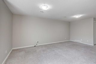 Photo 23: 8120 Masters Boulevard SE in Calgary: Mahogany Semi Detached (Half Duplex) for sale : MLS®# A2075510