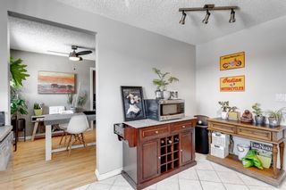 Photo 6: 9 1607 26 Avenue SW in Calgary: South Calgary Apartment for sale : MLS®# A2051928