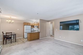 Photo 13: 246 165 Manora Place NE in Calgary: Marlborough Park Apartment for sale : MLS®# A2021263