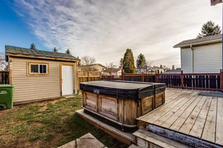 Photo 23: 16 Abalone Crescent NE in Calgary: Abbeydale Detached for sale : MLS®# A1164706