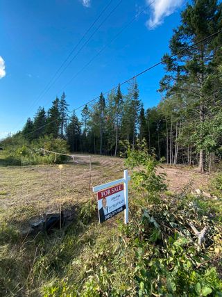 Photo 5: Lot Highway 4 in River Bourgeois: 305-Richmond County / St. Peters Vacant Land for sale (Highland Region)  : MLS®# 202401582