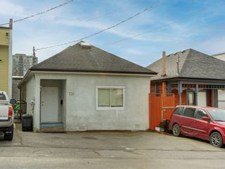 Photo 1: 731 Princess Ave in Victoria: Vi Downtown Industrial for sale : MLS®# 932268