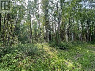 Photo 4: 1531 WEST FRASER ROAD in Quesnel: Vacant Land for sale : MLS®# R2778451