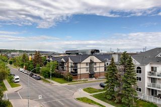 Photo 29: 403 1108 15 Street SW in Calgary: Sunalta Apartment for sale : MLS®# A2131434