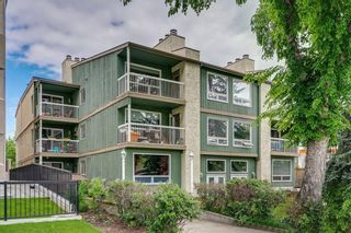 Main Photo: 10 3402 Parkdale Boulevard NW in Calgary: Parkdale Apartment for sale : MLS®# A2044407