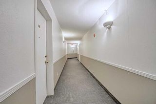 Photo 8: 2310 2280 68 Street NE in Calgary: Monterey Park Apartment for sale : MLS®# A2124709