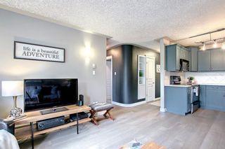 Photo 13: 10 1813 25 Avenue SW in Calgary: Bankview Apartment for sale : MLS®# A1230527