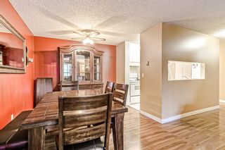 Photo 12: 304 21 Dover Point SE in Calgary: Dover Apartment for sale : MLS®# A2012271