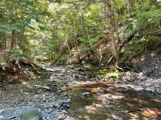 Photo 11: Lot Lovat Road in Salt Springs: 108-Rural Pictou County Vacant Land for sale (Northern Region)  : MLS®# 202216576