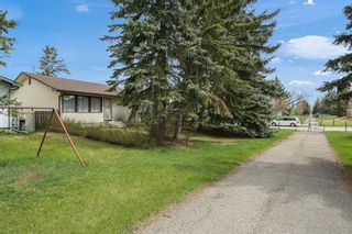 Photo 2: 3035 32A Avenue SE in Calgary: Dover Detached for sale : MLS®# A1211168