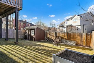 Photo 35: 43 Evanston Rise NW in Calgary: Evanston Detached for sale : MLS®# A1163935