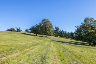 Photo 24: 19701 12 AVENUE in Langley: Campbell Valley House for sale : MLS®# R2704667