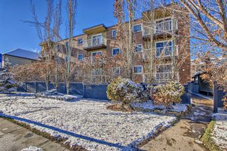 Photo 2: 206 2221 14 Street SW in Calgary: Bankview Apartment for sale : MLS®# A2094269