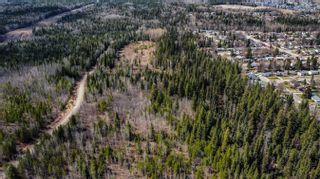 Photo 6: LOT 5 DOMANO Boulevard in Prince George: Lower College Heights Land for sale (PG City South West)  : MLS®# R2874827