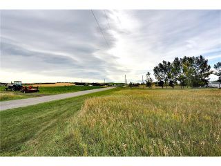 Photo 11: 386141 2 Street E: Rural Foothills M.D. House for sale : MLS®# C4081812