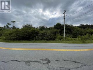 Photo 7: Lot Highway 331|PID#60723301/60611274 in Lahave: Vacant Land for sale : MLS®# 202400060