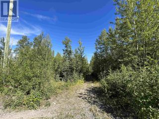 Photo 6: LOT 10 MURRAY ROAD in Quesnel: Vacant Land for sale : MLS®# R2804376