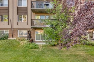 Photo 25: 285 8948 Elbow Drive SW in Calgary: Haysboro Apartment for sale : MLS®# A2072350