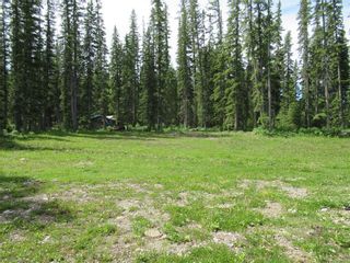 Photo 35: 70041 Highway 591: Rural Clearwater County Detached for sale : MLS®# C4305359