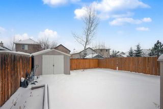 Photo 46: 2082 Bridlemeadows Manor SW in Calgary: Bridlewood Detached for sale : MLS®# A2117363