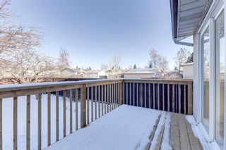 Photo 34: 120 Rundlecairn Rise NE in Calgary: Rundle Detached for sale : MLS®# A1167955