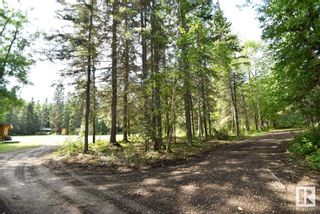 Photo 21: 10 Aspen Dr, Perch Cove Est. SKELETON LAKE: Rural Athabasca County Vacant Lot/Land for sale : MLS®# E4355108