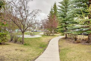 Photo 26: 1303 16320 24 Street SW in Calgary: Bridlewood Apartment for sale : MLS®# A1227628