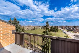 Photo 24: 503 30 Mchugh Court NE in Calgary: Mayland Heights Apartment for sale : MLS®# A2107366