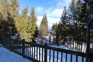 Photo 20: 2362 Forest View Place: Blind Bay House for sale (South Shuswap)  : MLS®# 10245519