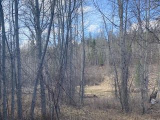 Photo 2: B - Lot 54 COKATO ROAD in Fernie: Vacant Land for sale : MLS®# 2476296