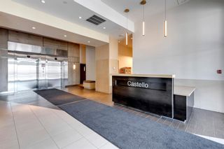 Photo 43: 202 530 12 Avenue SW in Calgary: Beltline Apartment for sale : MLS®# A1251210