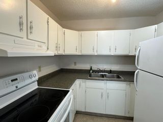 Photo 7: 105 36 Glenbrook Crescent: Cochrane Apartment for sale : MLS®# A2116227