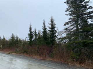 Photo 10: Lot 3 53 Boutiliers Island Road in Mushaboom: 35-Halifax County East Vacant Land for sale (Halifax-Dartmouth)  : MLS®# 202305335