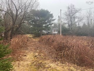Photo 7: 10522 Highway 7 in Oyster Pond: 35-Halifax County East Vacant Land for sale (Halifax-Dartmouth)  : MLS®# 202205861