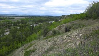 Photo 16: SW 36-20-2W5: Rural Foothills County Residential Land for sale : MLS®# A1231138
