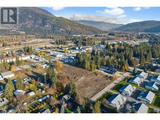 Photo 7: 222 Temple Street in Sicamous: Vacant Land for sale : MLS®# 10288595