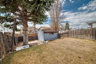 Photo 29: 19 Falchurch Road NE in Calgary: Falconridge Semi Detached (Half Duplex) for sale : MLS®# A2124715
