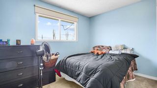 Photo 21: 300 Berwick Drive NW in Calgary: Beddington Heights Detached for sale : MLS®# A2118693