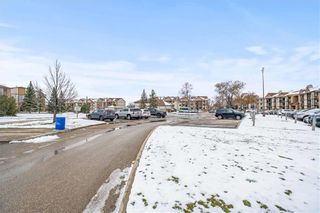 Photo 25: 3305 197 Victor Lewis Drive in Winnipeg: Linden Woods Condominium for sale (1M)  : MLS®# 202330193