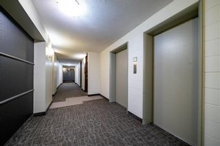 Photo 6: 203 230 ROSLYN Road in Winnipeg: Osborne Village Condominium for sale (1B)  : MLS®# 202203373