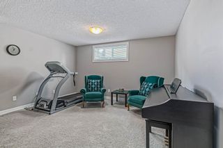 Photo 30: 15 133 Copperpond Heights SE in Calgary: Copperfield Row/Townhouse for sale : MLS®# A2029612