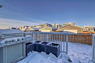 Photo 47: 42 Redstone Manor NE in Calgary: Redstone Detached for sale : MLS®# A2094998