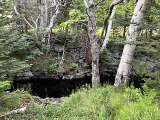 Photo 19: 23+ Acres Sonora Road in Sherbrooke: 303-Guysborough County Vacant Land for sale (Highland Region)  : MLS®# 202304811