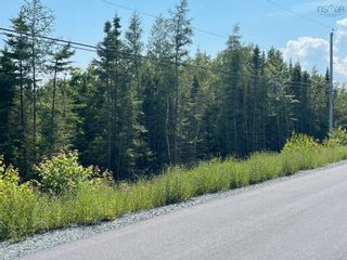 Photo 5: Lot 3 Waterloo Road in Waterloo: 405-Lunenburg County Vacant Land for sale (South Shore)  : MLS®# 202314781