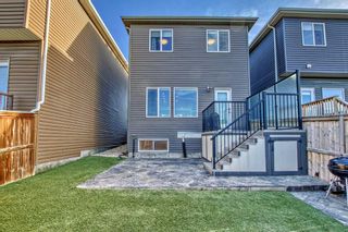 Photo 34: 139 Evansborough Crescent NW in Calgary: Evanston Detached for sale : MLS®# A2094486