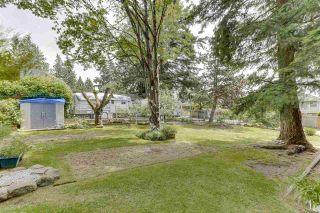 Photo 39: 2122 EDGEWOOD Avenue in Coquitlam: Central Coquitlam House for sale : MLS®# R2462677